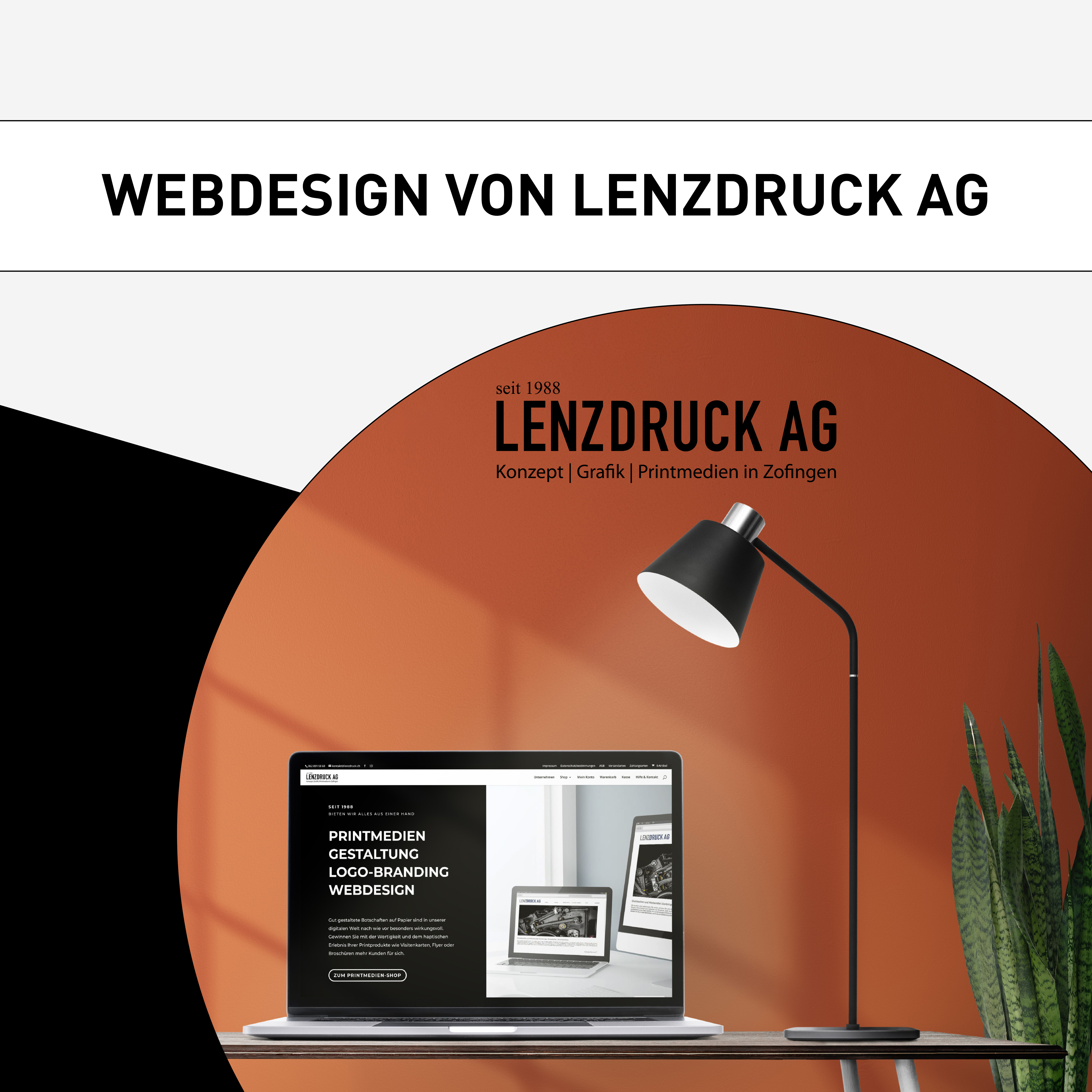 Webdesign Lenzdruck AG